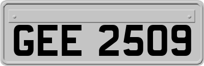 GEE2509