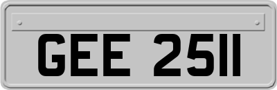 GEE2511