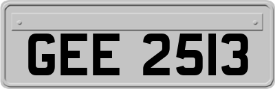 GEE2513