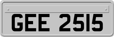 GEE2515