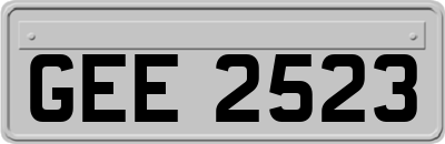 GEE2523