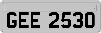 GEE2530