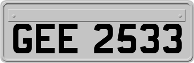 GEE2533