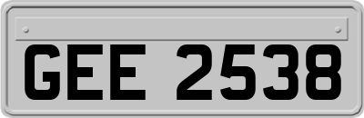GEE2538