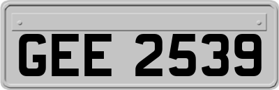 GEE2539