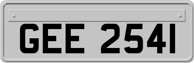 GEE2541