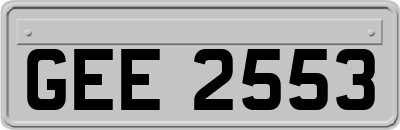 GEE2553
