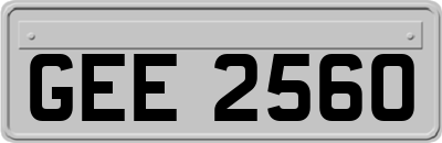 GEE2560