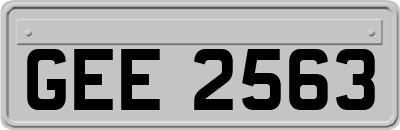 GEE2563