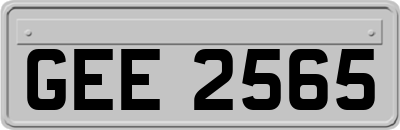GEE2565