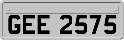 GEE2575