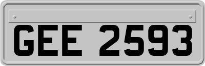 GEE2593