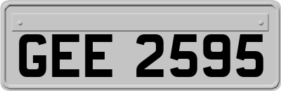 GEE2595
