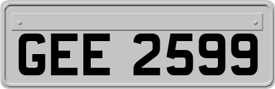 GEE2599