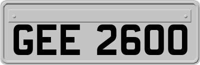 GEE2600