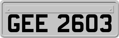 GEE2603