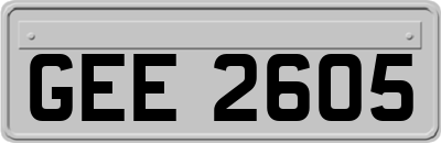GEE2605