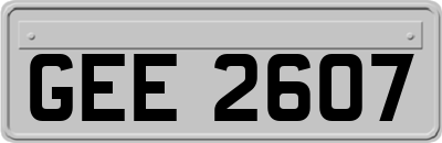 GEE2607