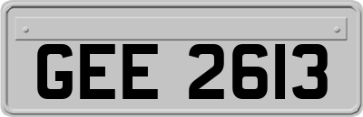 GEE2613