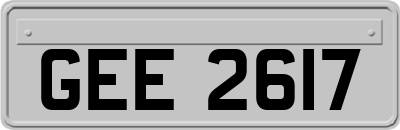 GEE2617
