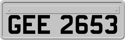 GEE2653