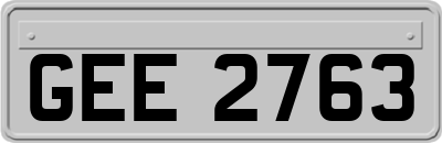 GEE2763