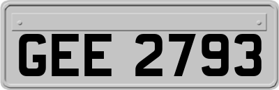 GEE2793