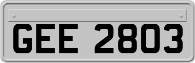 GEE2803