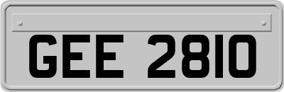 GEE2810