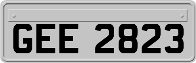GEE2823
