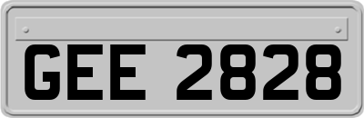 GEE2828