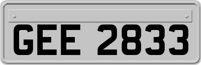 GEE2833