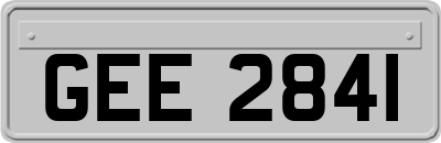 GEE2841