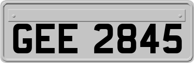 GEE2845
