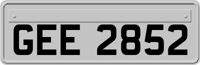 GEE2852