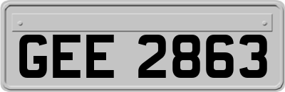 GEE2863