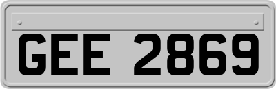 GEE2869