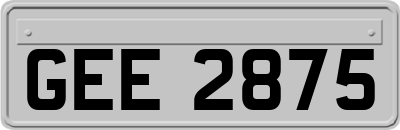 GEE2875