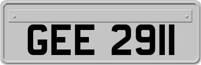 GEE2911