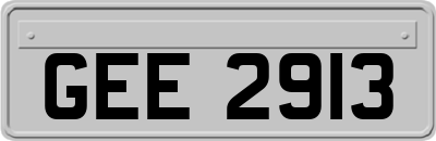 GEE2913