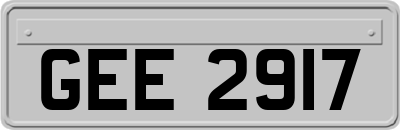 GEE2917