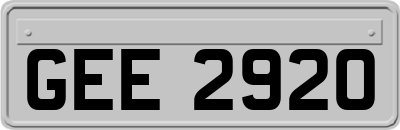 GEE2920