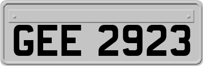 GEE2923