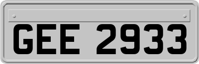 GEE2933