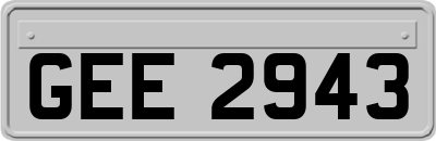 GEE2943