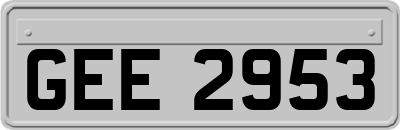 GEE2953