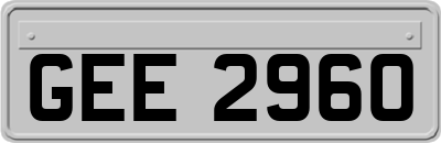 GEE2960