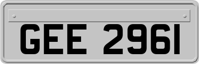 GEE2961