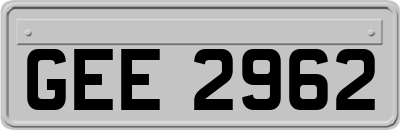 GEE2962
