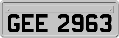 GEE2963